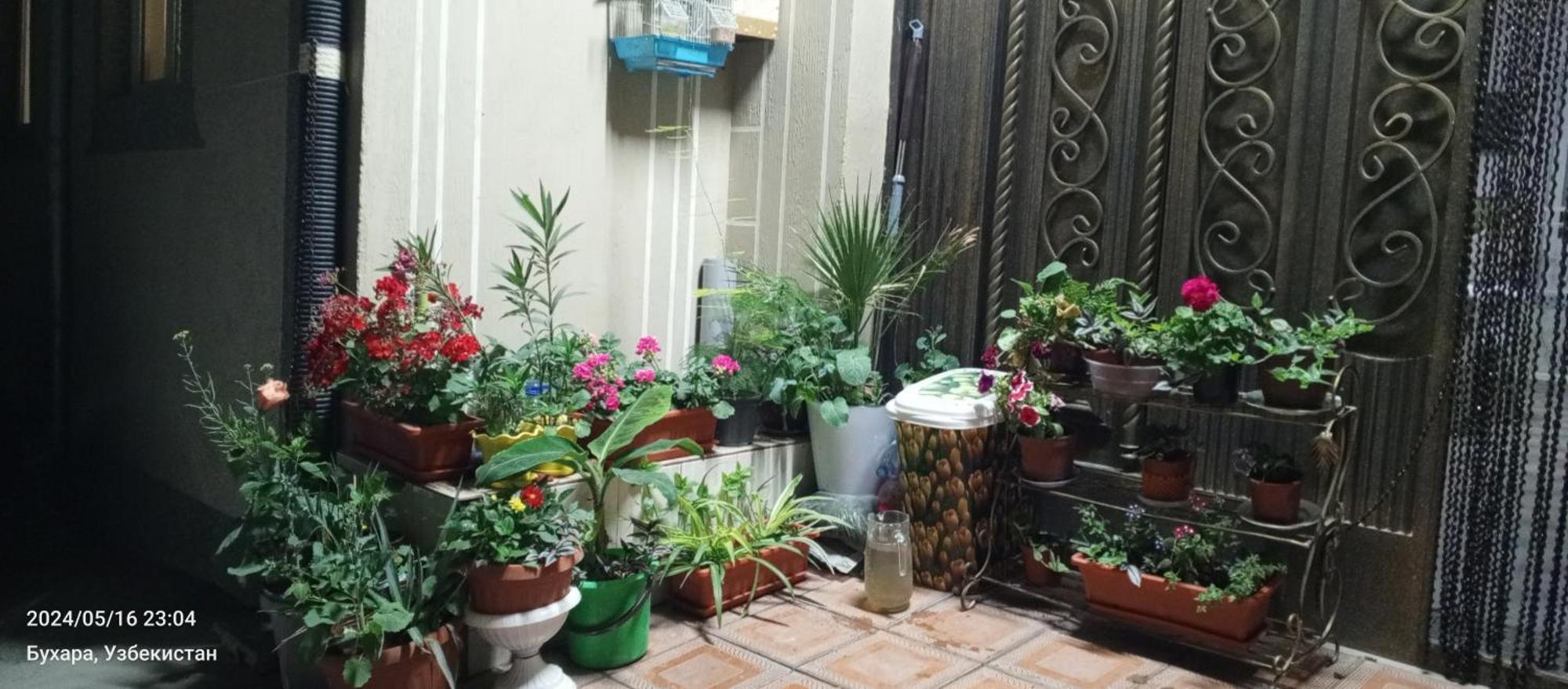 Hotel Guest House Golden Degrez Buhara Exterior foto